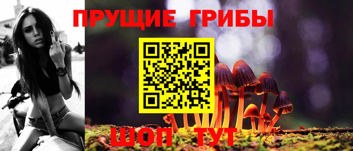 Галлюциногенные грибы мицелий Заволжье